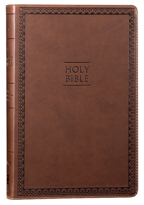 NIV Value Thinline Bible Large Print Brown (Black Letter Edition)