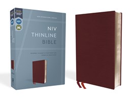 Redeeming Love