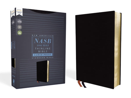 NLT Large Print Premium Value Thinline Bible, Filament Enabled (LeatherLike, Eucalyptus Teal)