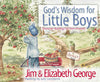 God's Wisdom for Little Boys : Character-Building Fun from Proverbs