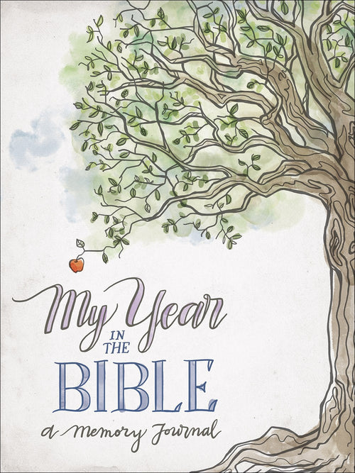 My Year in the Bible : A Memory Journal