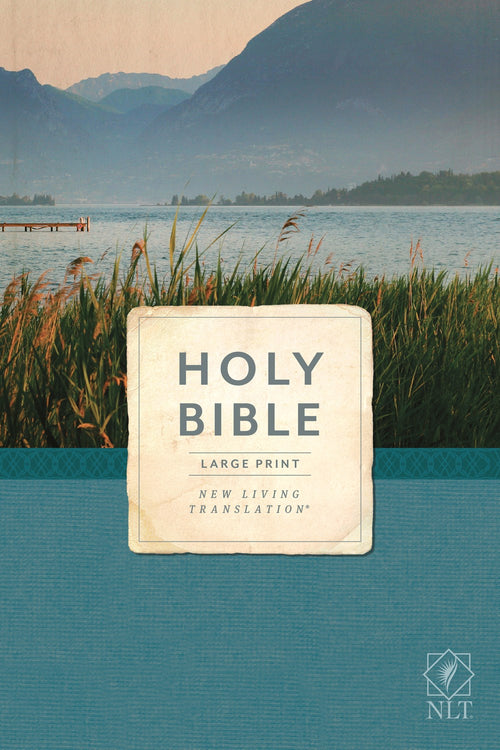 Holy Bible, Economy Outreach Edition, Large Print, NLT (Softcover)  (Large type / large print)