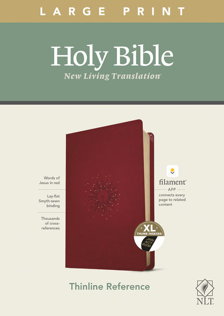 NKJV, Gift and Award Bible, Leather-Look, Black, Red Letter, Comfort Print : Holy Bible, New King James Version