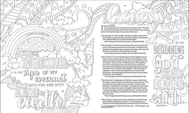 Inspire FAITH Bible Large Print NLT, Filament Enabled (Hardcover, Wildflower Meadow) : The Bible for Coloring & Creative Journaling (Large type / large print)