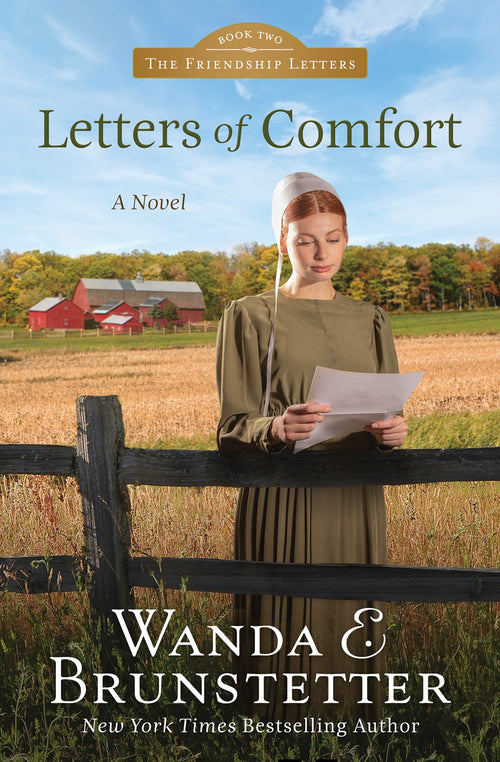 Letters of Comfort (#02 in Friendship Letters Series)