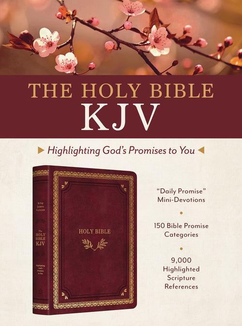 The Holy Bible KJV: Highlighting God's Promises to You [Crimson & Gold]