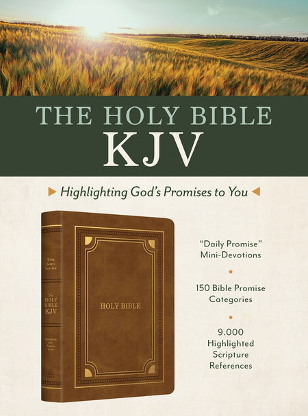 The Holy Bible KJV: Highlighting God's Promises to You [Crimson & Gold]