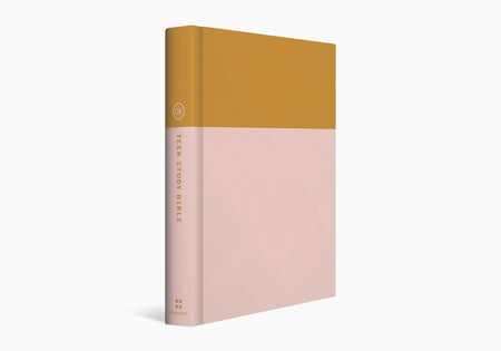 ESV Large Print Compact Bible