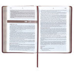 Saddle Tan Faux Leather NLT Everyday Devotional Bible for Men