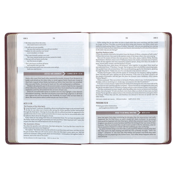 Saddle Tan Faux Leather NLT Everyday Devotional Bible for Men