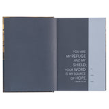 Gold and Navy Mountain View Hardcover NLT Everyday Devotional Bible for Men