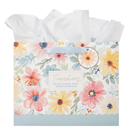 Teachers Plant Seeds Large Landscape Gift Bag - KI Gifts Christian Supplies