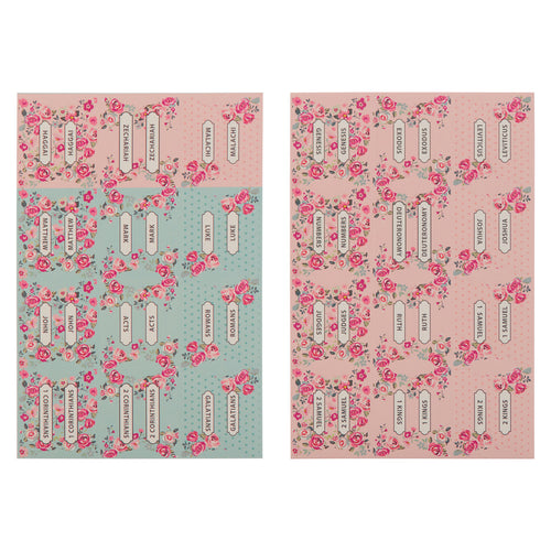 Pink and Blue Old and New Testament Bible Index Tabs
