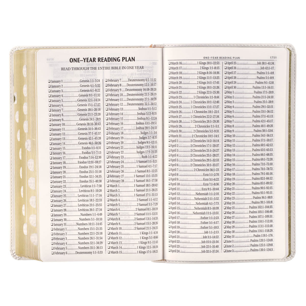White Floral Faux Leather Giant Print Standard-size King James Version ...