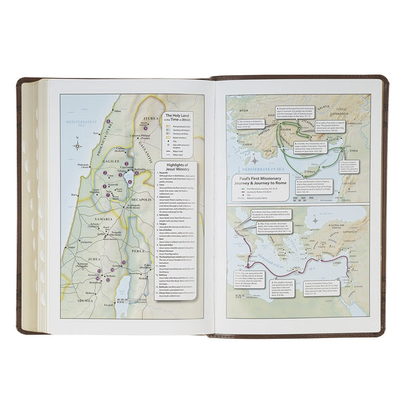 Brown Crown of Thorns Giant Print Full-size King James Version Bible with Thumb Index