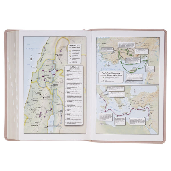 Blush Pink Floral Giant Print Full-size King James Version Bible with Thumb Index