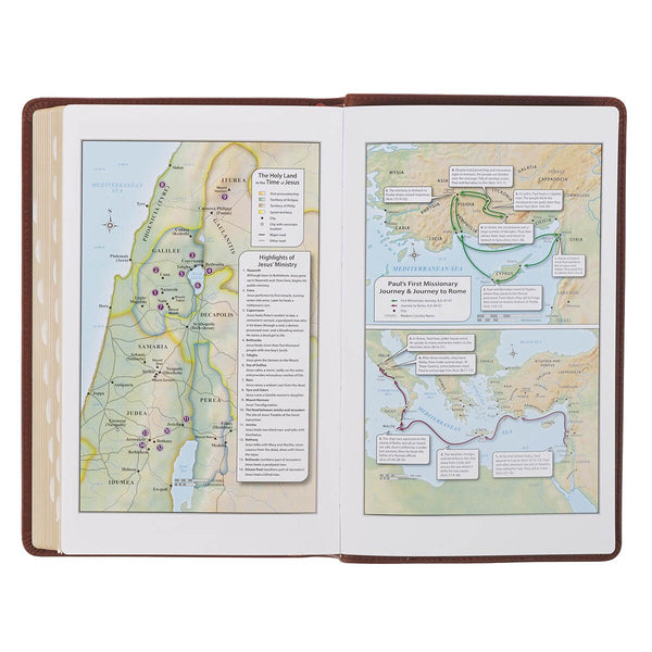 Triple Pane Frame Saddle Tan Full-grain Leather King James Version Deluxe Gift Bible with Thumb Index