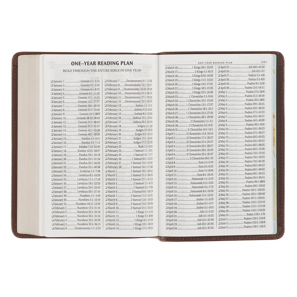 Mahogany Brown Genuine Leather Large Print Compact Bible