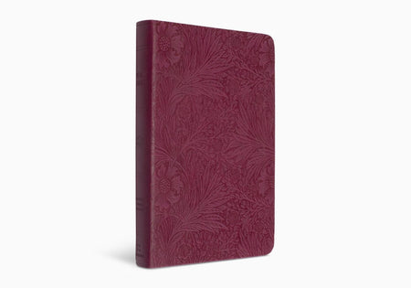 ESV Large Print Compact Bible