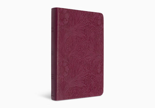 ESV VALUE COMPACT BIBLE -TruTone, Raspberry, Floral