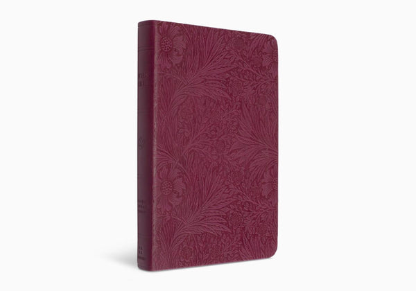 ESV VALUE COMPACT BIBLE -TruTone, Raspberry, Floral