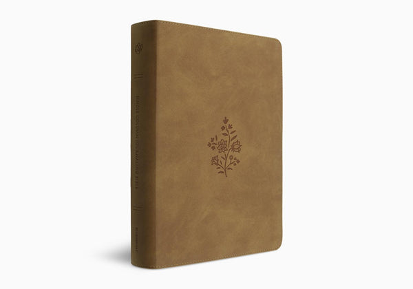 ESV Single Column Journaling Bible®, Large Print