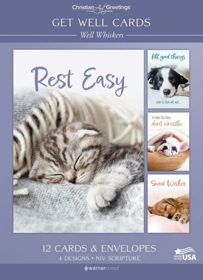Boxed Cards - Get Well - Well Whiskers