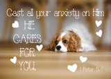 Large Poster - He cares for you - 1 Peter 5v7