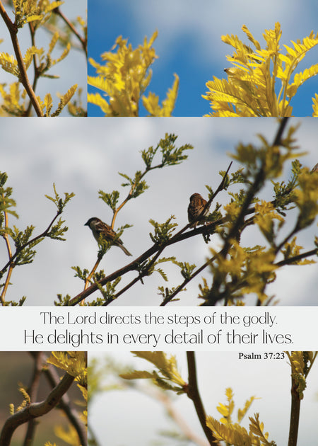 Large Poster - Wings of the Dawn - Psalm 139:9-10