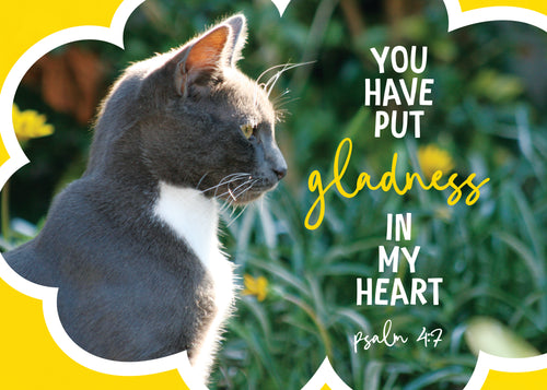 Pass It On - Gladness - Psalm 14:27