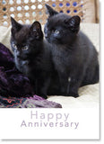 Happy Anniversary: Two Black Kittens (order in 6)