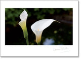 Blank - White Flower - KI Gifts Christian Supplies