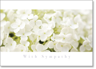With Sympathy - White Snowflake Flowers (order in 6)