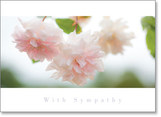 Sympathy : White floral arrangement (order in 6)