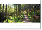 Inspire - Sympathy : Woodland paths (order in 6)