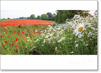 Inspire - Blank : Poppy and daisy meadow