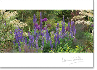 Inspire - Blank :  Herbaceous border