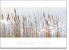 Inspire - Backlit reeds