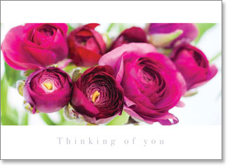 Inspire Card – Thinking of You (order in 6)
