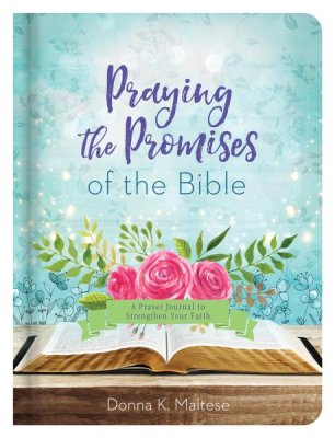 Praying the Names of God Journal: Devotional Prayers Inspired by The Wonderful Names of Our Wonderful Lord