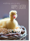 Happy Easter - Duckling On Straw (order in 6)