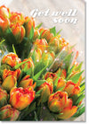 Get Well Soon - Bunches Of Tulips (order in 6)