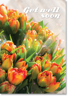 Get Well Soon - Bunches Of Tulips (order in 6)