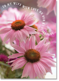 Anniversary : To My Wife Pink Echinacea (ORDER IN 6)