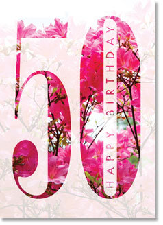 Happy Birthday : Colourful Gerberas 50th (order in 6)