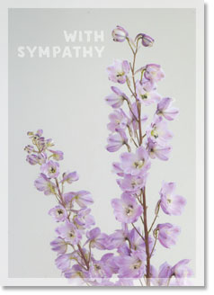 Sympathy : Light pink Delphinium (order in 6)