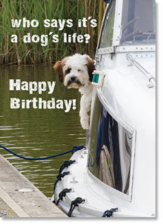 Happy Birthday: Small dog on boat