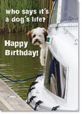 Happy Birthday: Small dog on boat