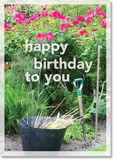 Happy Birthday: Rose bed gardening