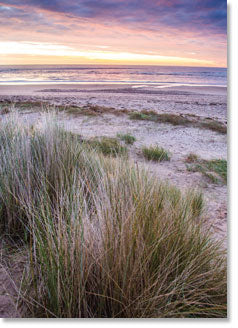 Blank : Beach at Alnmouth
